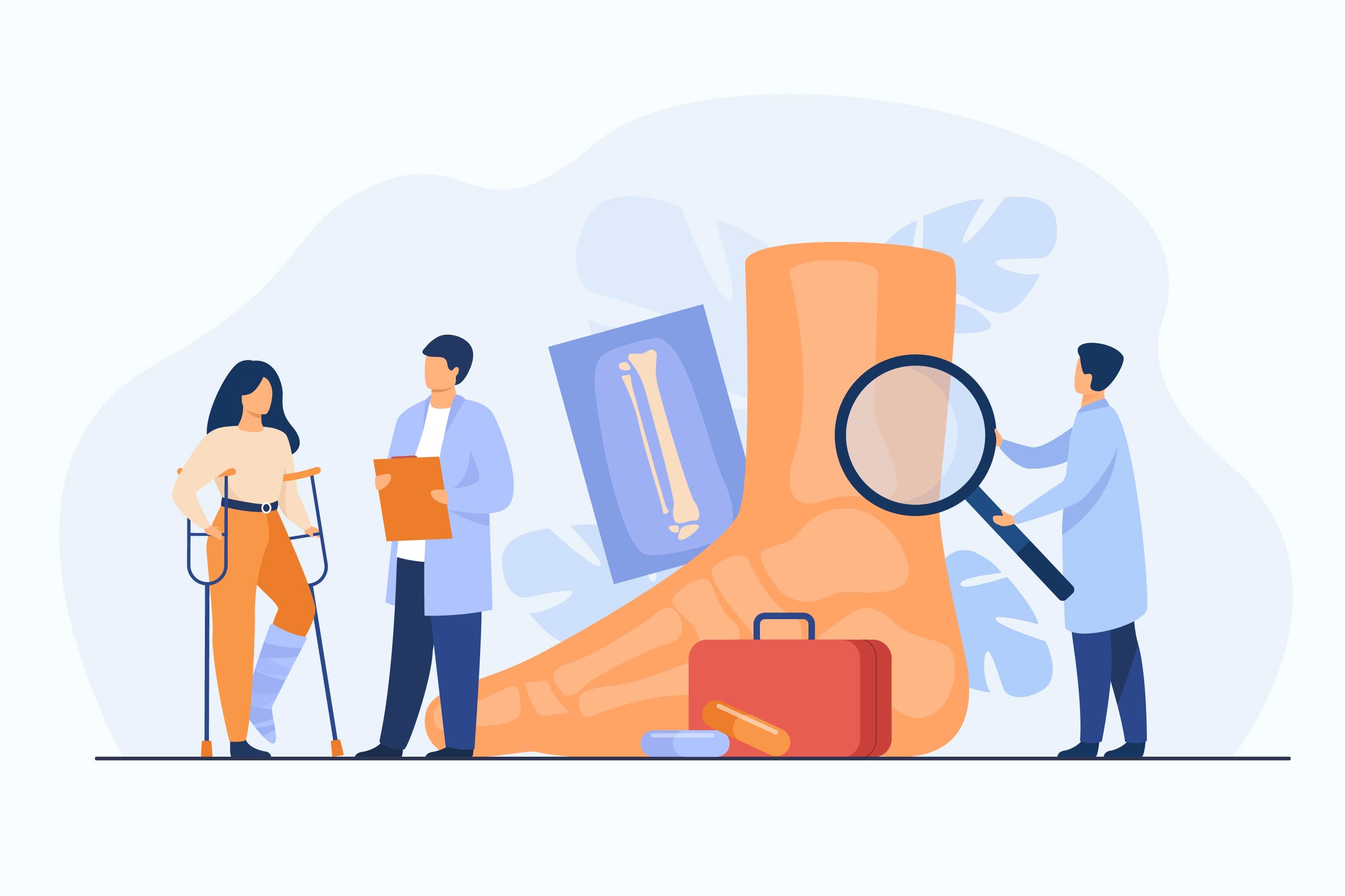 La structure d'une articulation